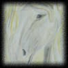 Serie: Pferd Fresko 3