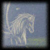 Pegasus in der Nacht