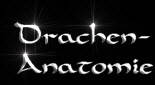 Drachen-Anatomie fr ZeichnerInnen